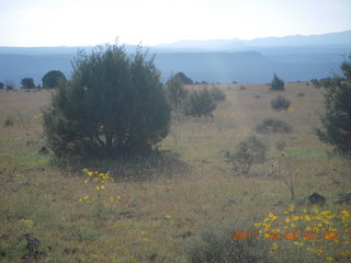 Beaverhead run