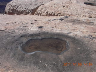 103 7q9. Dead Horse Point hike - pothole