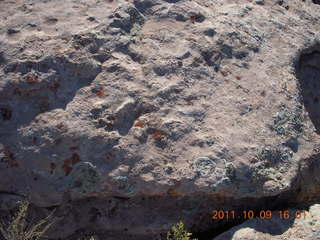 Dead Horse Point hike - bumpy rock