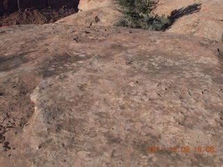 Dead Horse Point hike - bumpy rock