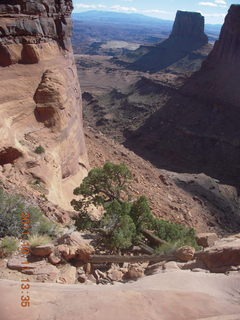188 7qb. Canyonlands National Park - Lathrop trail hike