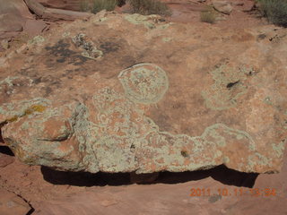 Canyonlands National Park - Lathrop trail hike - lichens on rock