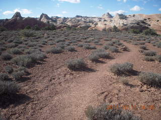 208 7qb. Canyonlands National Park - Lathrop trail hike