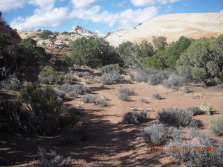 210 7qb. Canyonlands National Park - Lathrop trail hike