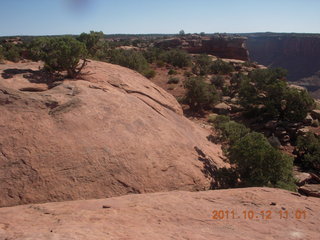 dead horse point road