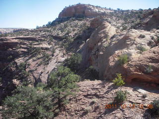 124 7qc. Canyonlands National Park - Alcove Springs