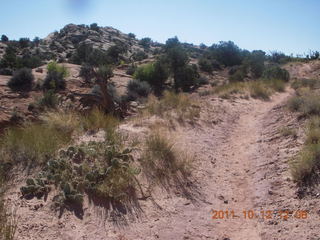 125 7qc. Canyonlands National Park - Alcove Springs
