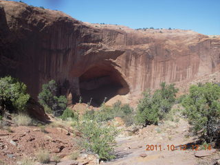 127 7qc. Canyonlands National Park - Alcove Springs