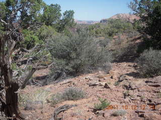128 7qc. Canyonlands National Park - Alcove Springs