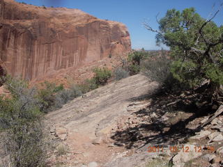 130 7qc. Canyonlands National Park - Alcove Springs