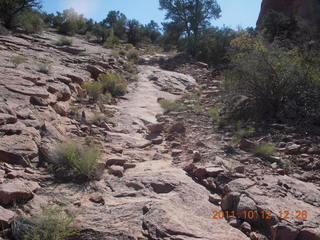 138 7qc. Canyonlands National Park - Alcove Springs