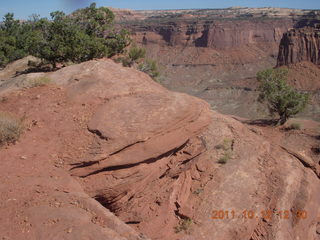 143 7qc. Canyonlands National Park - Alcove Springs