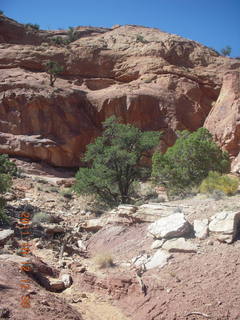 146 7qc. Canyonlands National Park - Alcove Springs