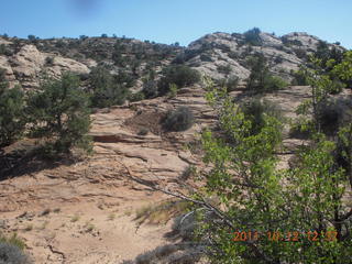 153 7qc. Canyonlands National Park - Alcove Springs