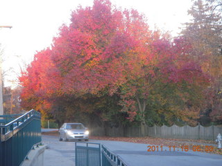 Philadelphia area - fall foliage