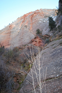 93 7sf. Zion National Park - Hidden Canyon hike