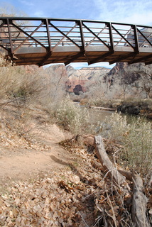 259 7sf. Zion National Park - bridge