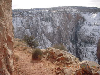 Zion National Park - Observation Point hike
