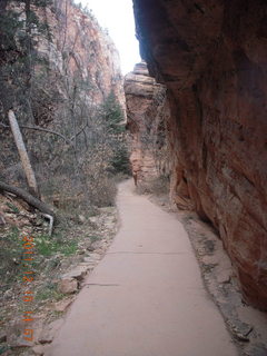 427 7sf. Zion National Park - Angels Landing hike