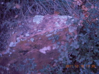 Zion National Park - Angels Landing hike - lichens on rock at dusk