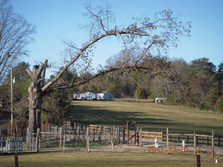 Joe's and Vicki's yard