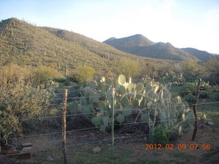 Bouquet Ranch run