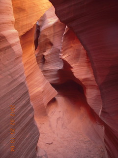 Rattlesnake Canyon