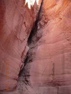 Rattlesnake Canyon - Adam