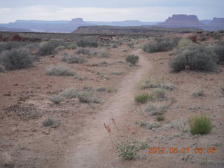 51 7x1. Canyonlands Murphy hike