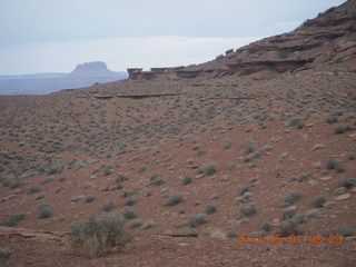 110 7x1. Canyonlands Murphy hike