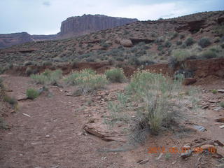 141 7x1. Canyonlands Murphy hike