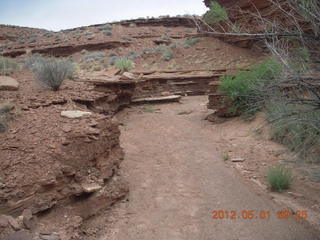 149 7x1. Canyonlands Murphy hike