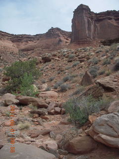 156 7x1. Canyonlands Murphy hike