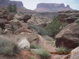 157 7x1. Canyonlands Murphy hike