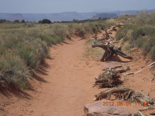 178 7x1. Canyonlands Murphy hike