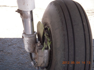 N8377W wheel with grass in the rim