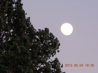 256 7x4. full moon (zoom in)