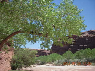 Canyon de Chelly tour