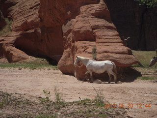 Canyon de Chelly tour