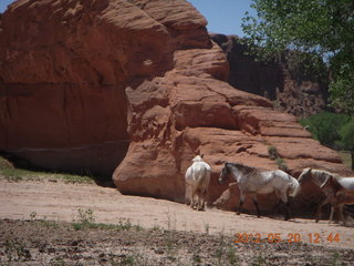 Canyon de Chelly tour