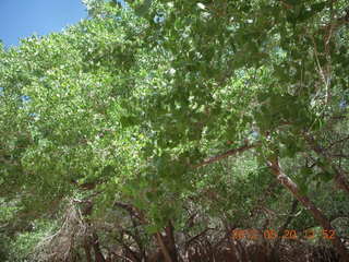 Canyon de Chelly tour