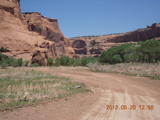 Canyon de Chelly tour - horses