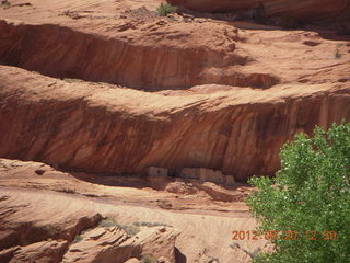 Canyon de Chelly tour - horses