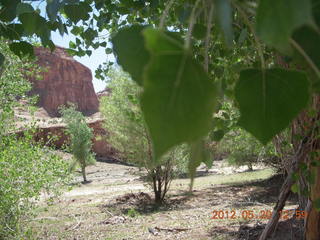 Canyon de Chelly tour