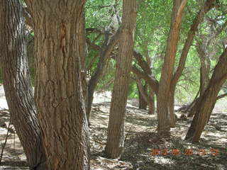 Canyon de Chelly tour