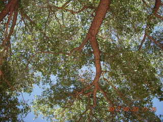 Canyon de Chelly tour