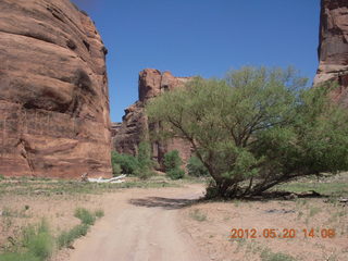 Canyon de Chelly tour - D.J., our guide