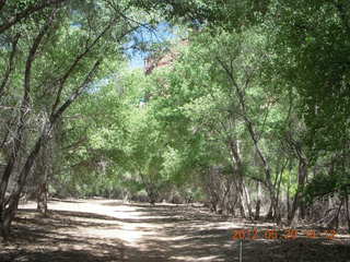 Canyon de Chelly tour