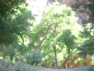 Canyon de Chelly tour