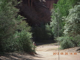 Canyon de Chelly tour - petroglyphs